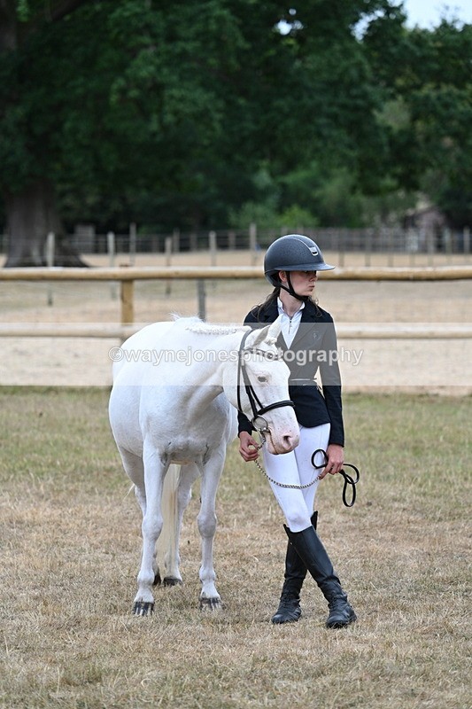 WJ7_8192 - Class 4 Prettiest Mare up to 14.2hh