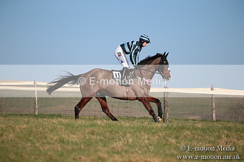 PtP 230219 402 - Vine & Craven Point-To-Point - Barbury 23/02/19