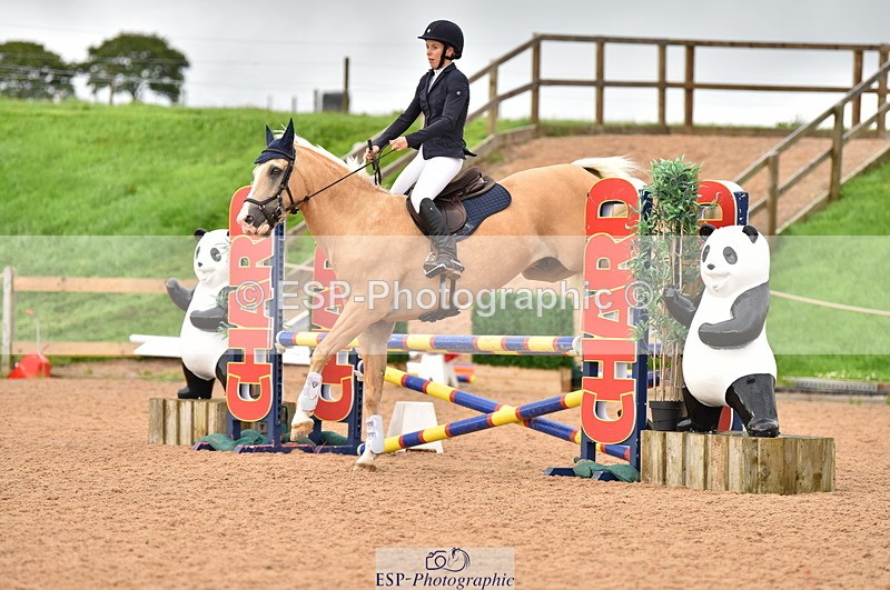 230808A-170510-00257 - 80cm