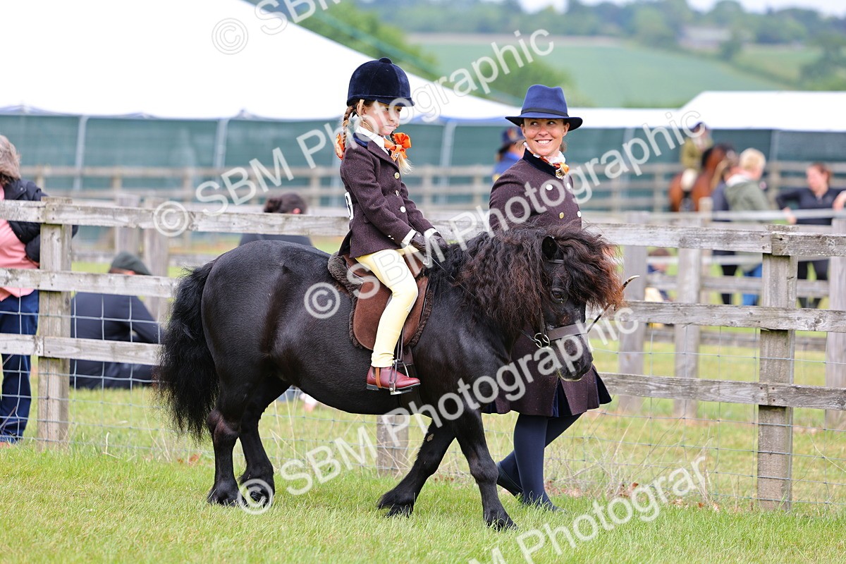 SBM_08062 - Class 42-43 - LIHS BSPS Heritage Working Sports Pony