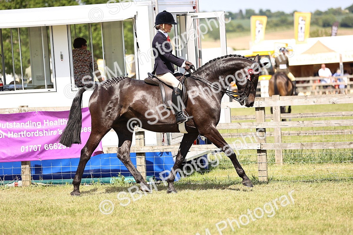 SBM_17999 - Class 81-83 - TSR Ridden Amateur of the Year - Horses