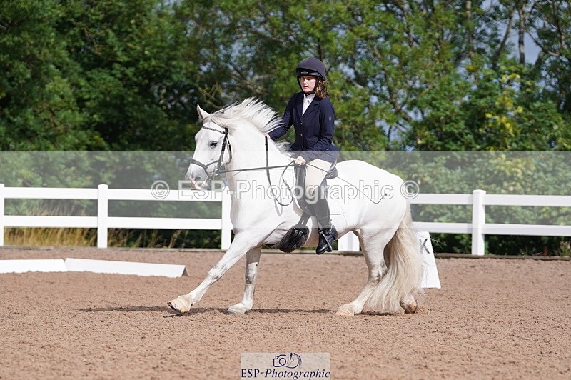 240809A-093422-00287 - Dressage Competition