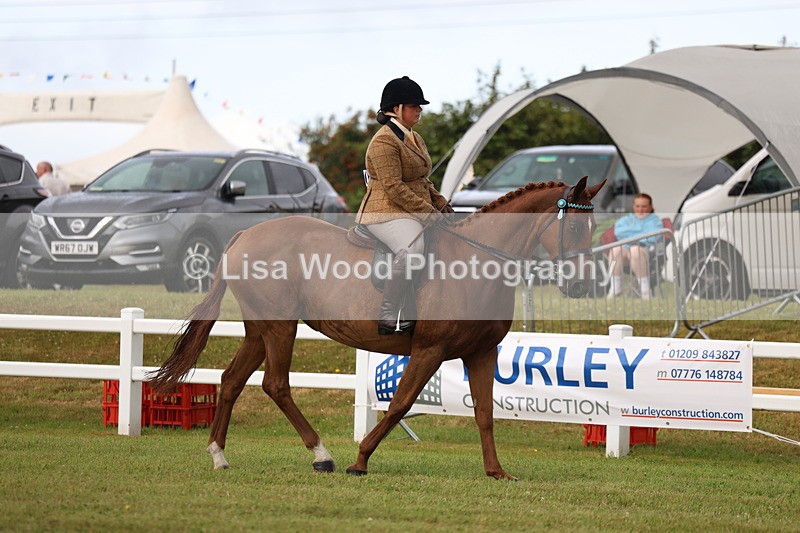 3E7A7969 - Class 2: Rising Star Large Hack/Riding Horse