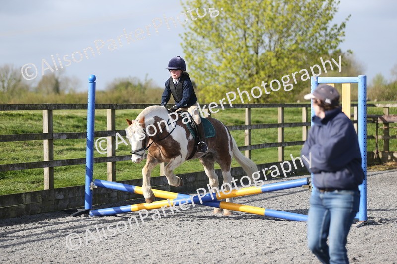 20260412-0058 - Show Jumping