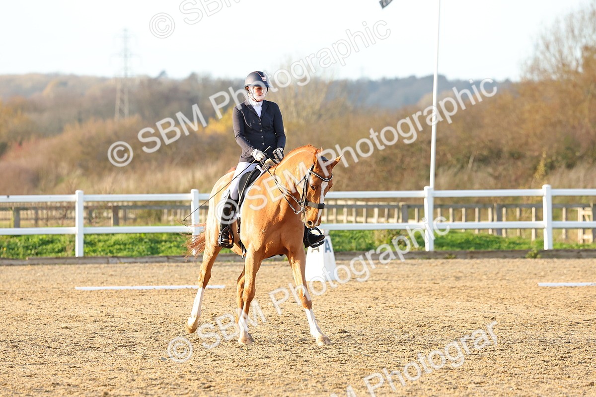 1I0A6267 - Class 11 - Medium 5