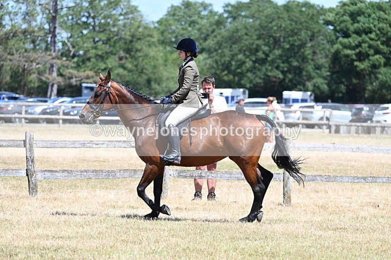 WJ7_2812 - Class 7 Riding Club Show Horse