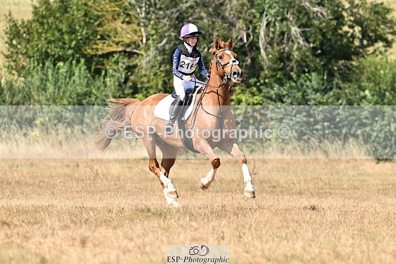 250824A-142833-37779 - 2164-Violet.Guerin-What's.his.name