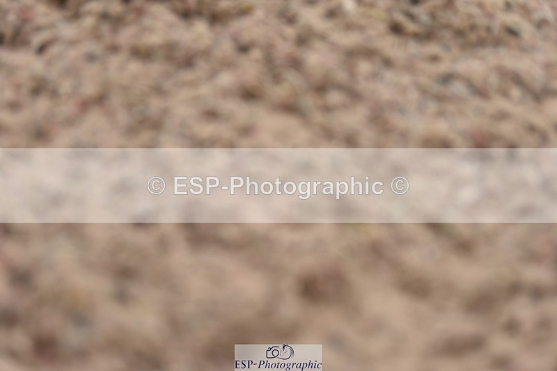 240623A-111628-17071 - Cls 47 BD Novice 22