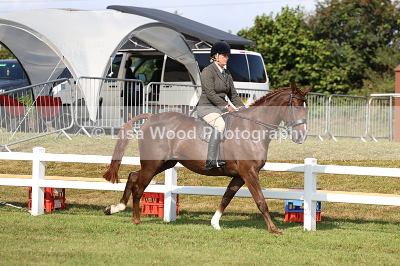 3E7A8549 - Class 3: Rising Star S/L Hunter