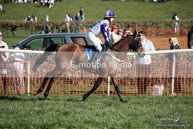 PtP 210326 641 - VWH Cirencester Races 21/03/26