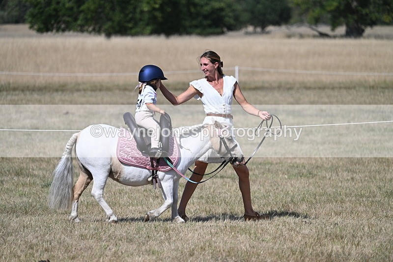 WJ7_1238 - Class 41 Prettiest Mare