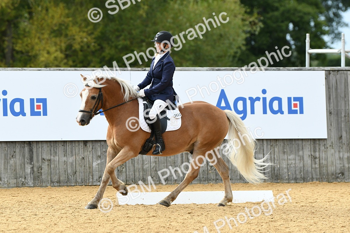 SBM_10925 - D28 Elementary Taster Elementary 42