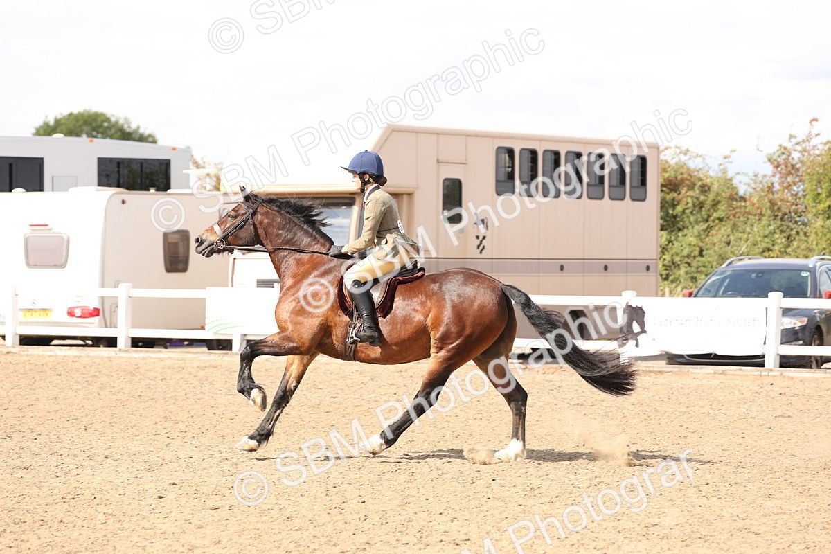 SBM_07405 - Class 58b -  Style & Performance - 70cm (20+)