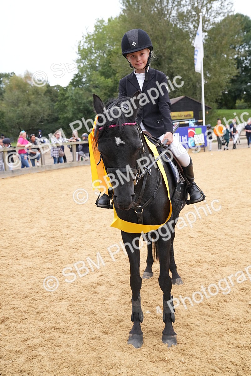 SBM_71760 - J3 - Mini Tour Junior Pony 40cm Championship