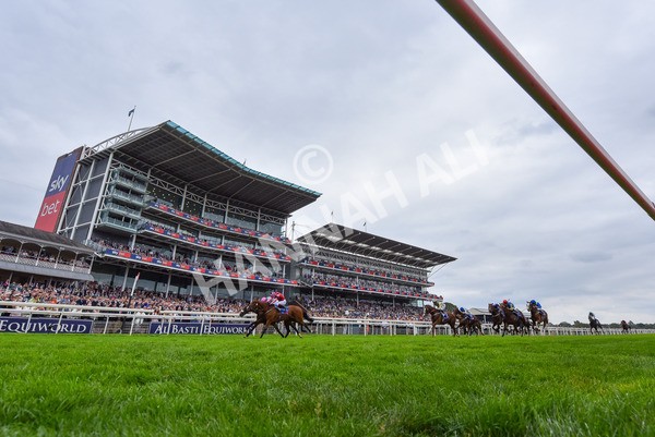 230825-Race 2-Tarriance-9641 - Race 2 2.25pm Sky Bet Melrose Handicap