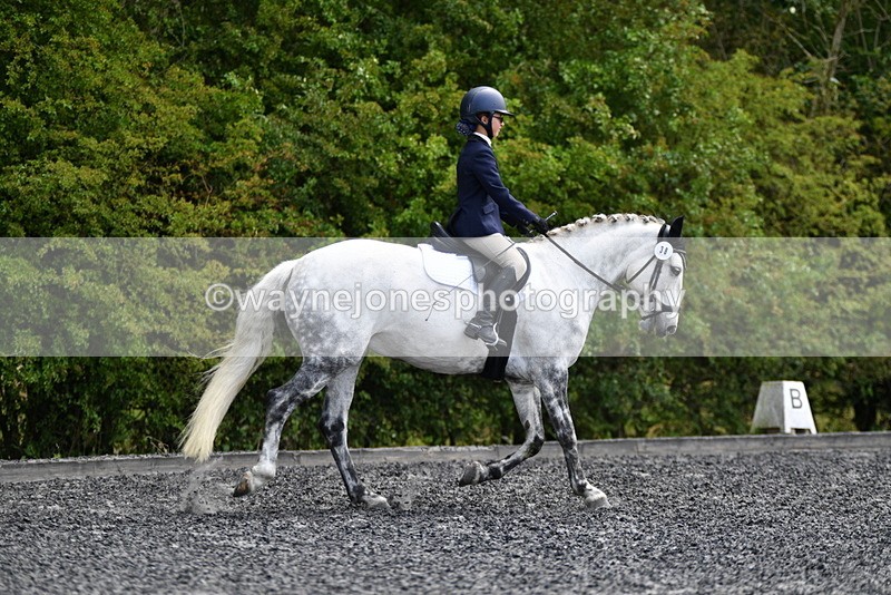 WJ5_1108 - Time 13:45 to 14:20