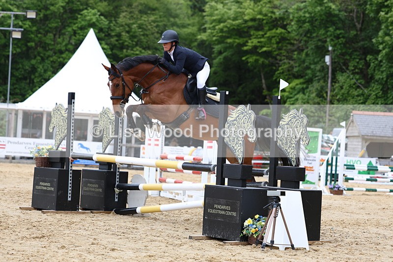 3E7A6175 - Class 4: Senior British Novice/90cm open