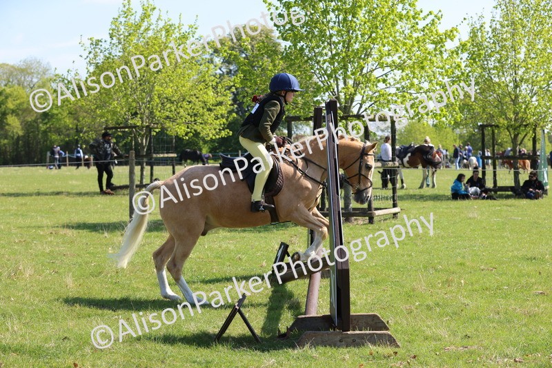 20250427-2401 - Class 19 - Mini Working Hunter