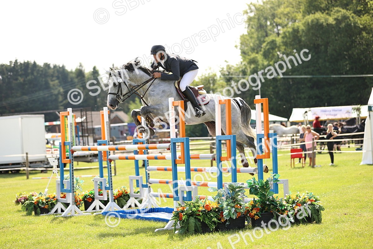 SBM_02971 - Class 201 - British Horse Feedds Speedi Beet HOYS Grade C