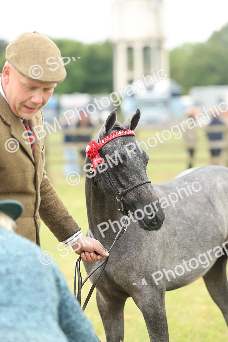 SBM_05366 - Class 68-73 - Riding Pony Breeding