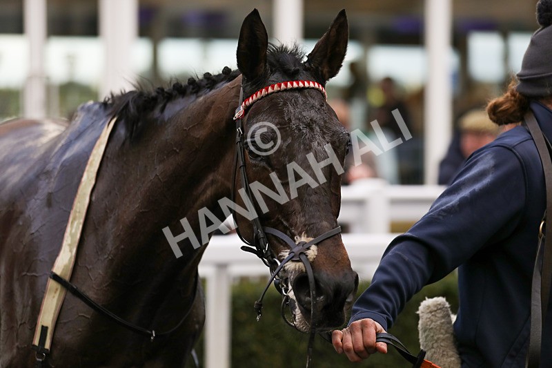 020224-Race 6-Champ Royal-7060 - Race 6