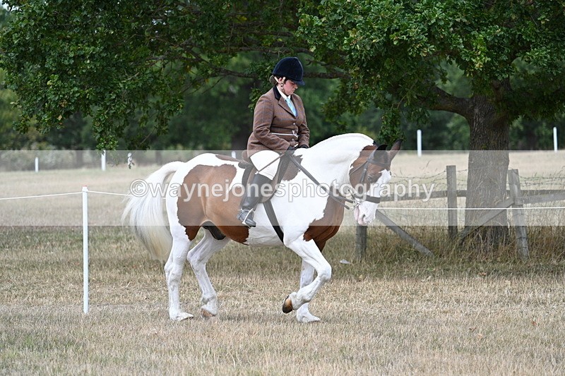 WJ7_4777 - Class 12 Ridden Cob