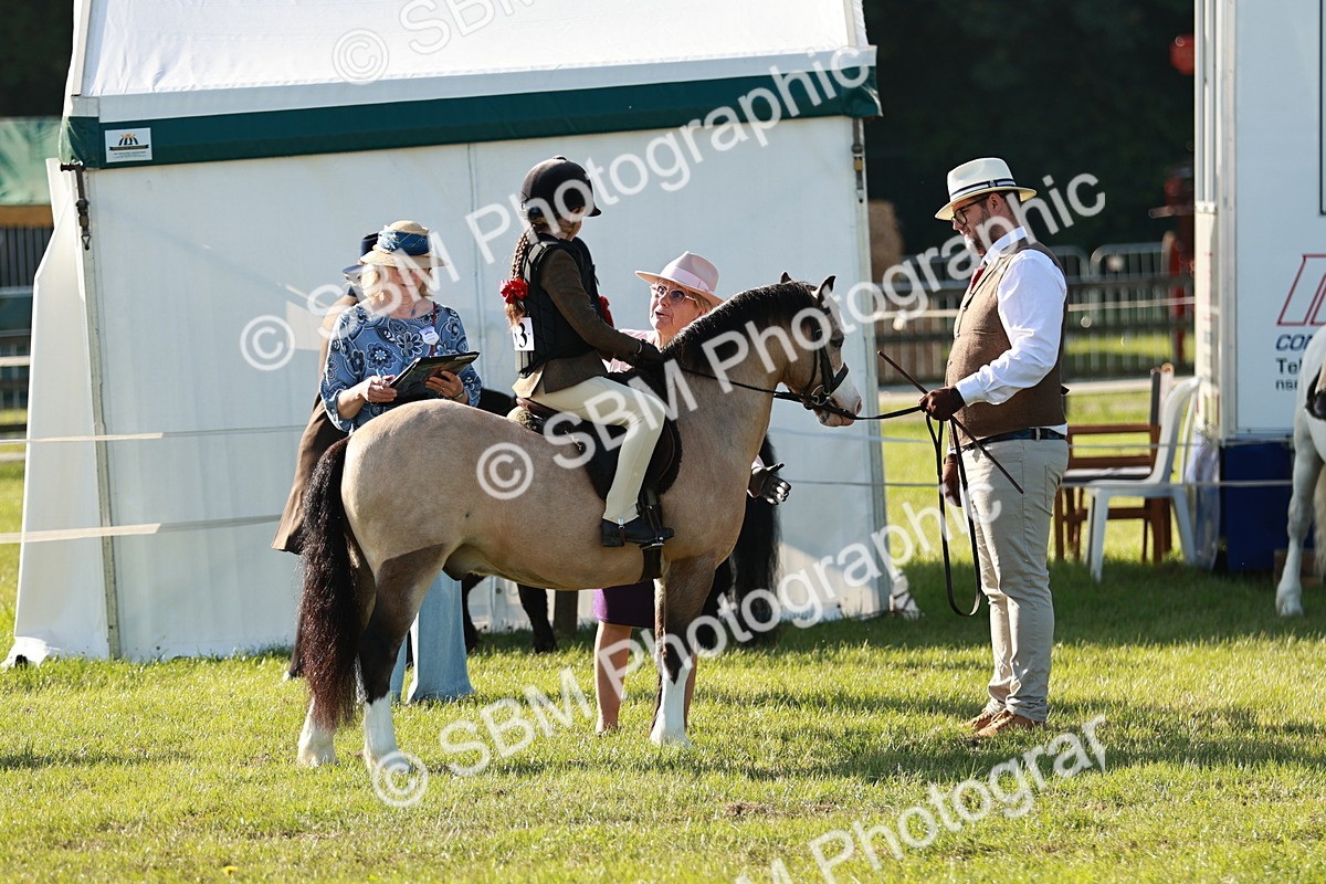 SBM_11080 - Class 106-107 - BSPS LIHS Working Sports Pony