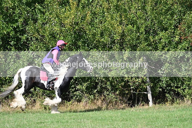 WJ7_0171 - Time 12:53 to 13:03