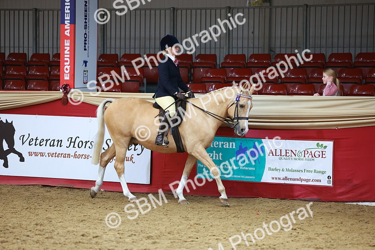 SBM_09573 - Class 102 - HOYS Veteran Qualifier - Ridden Veteran