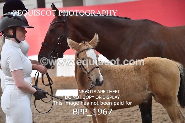 BPP_1967 - AFTERNOON 12.30 - 3.30PM