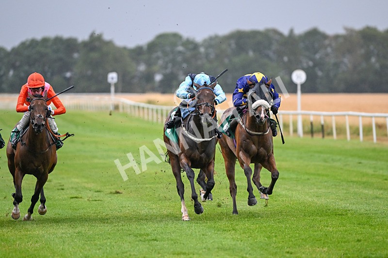 150725-Race 2-Dinamo-6661 - Race 2