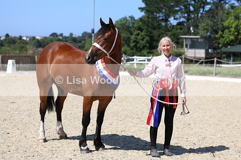 3E7A9935 - In Hand Championship