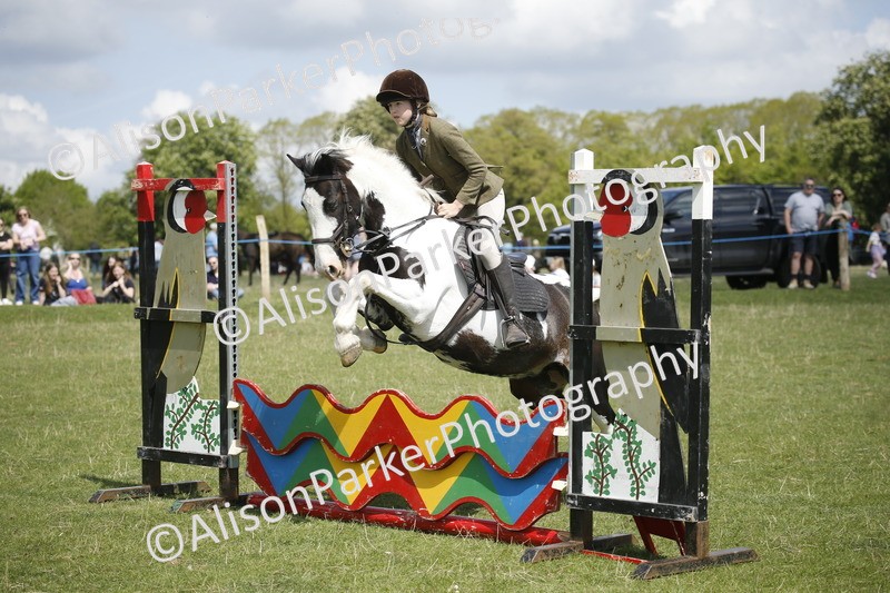 20250427-3604 - Class 14 - Absolute Novice 70cm