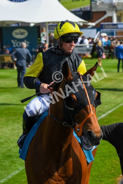270523-Race 5-Starnberg-0723 - Race 5 3.50pm William Hill Extra Place Races Daily Handicap