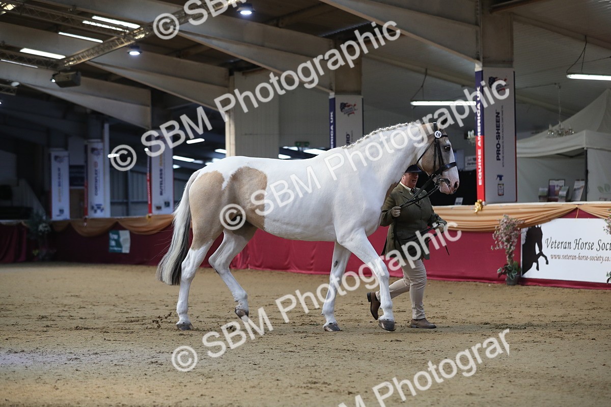 SBM_01415 - Class 3a Area IH Pre Vet