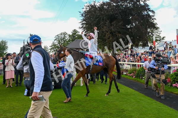 260823-Race 4-Absurde-1437 - Race 4 Sky Bet Ebor Handicap
