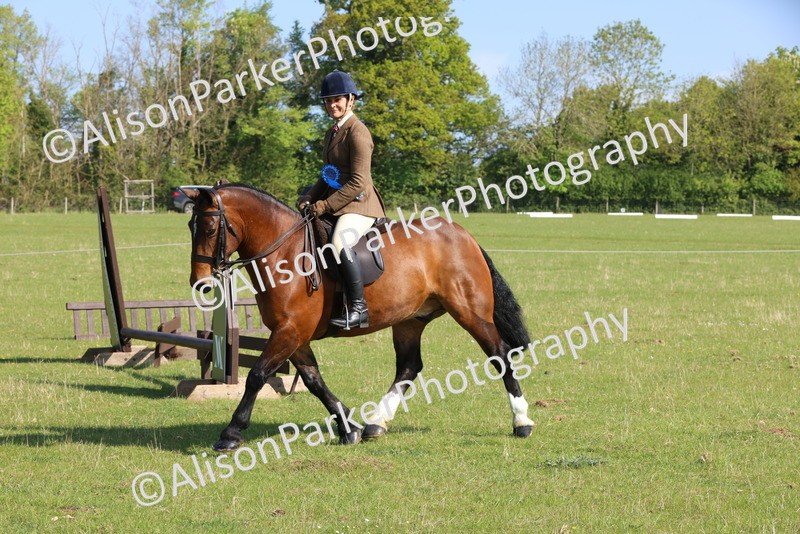 20250427-0601 - Class 17 - Novice Showing