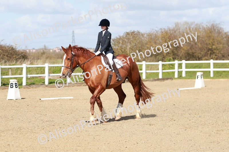 20260314-2919 - DR3 - Prelim 1