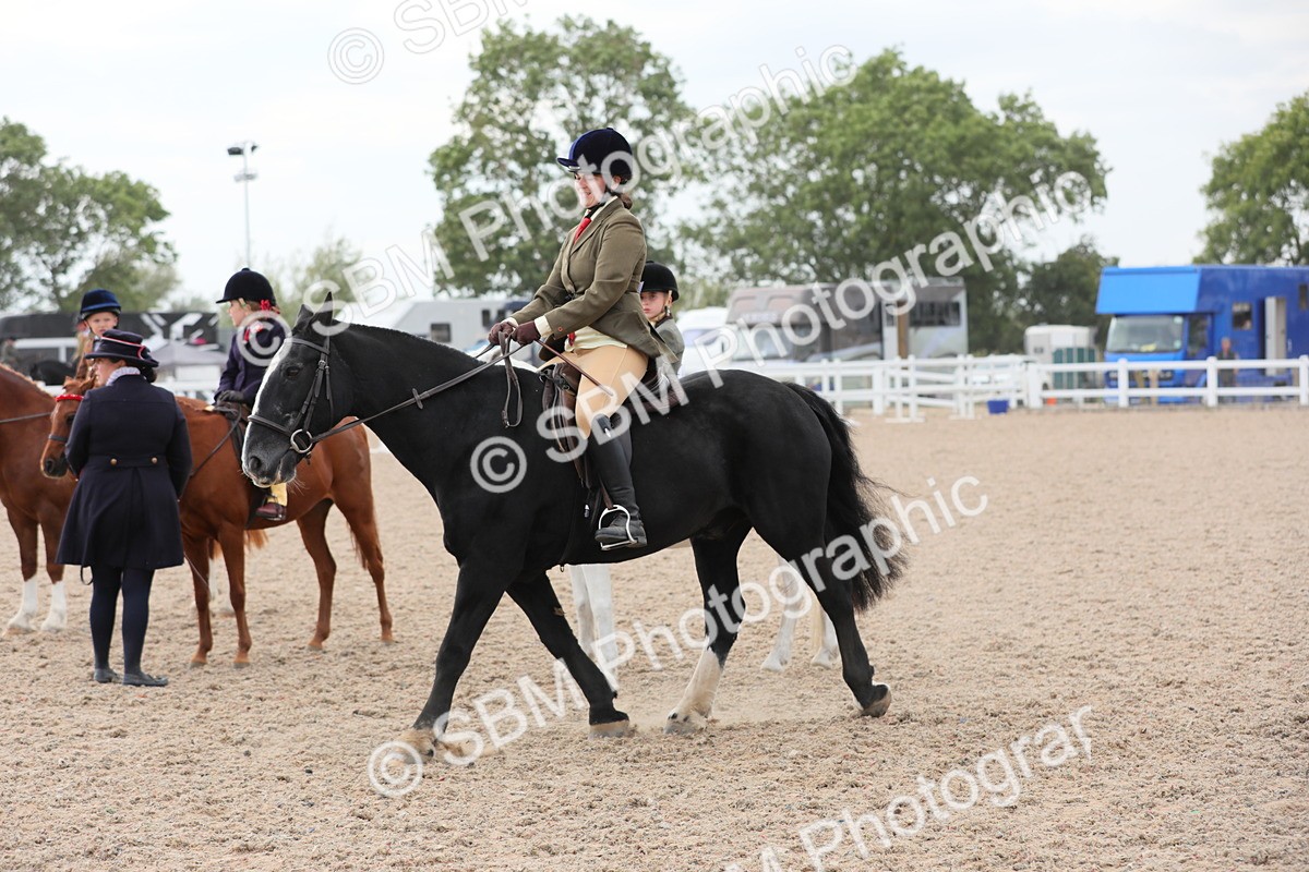 SBM_16882 - Class 314 Family Horse/Pony