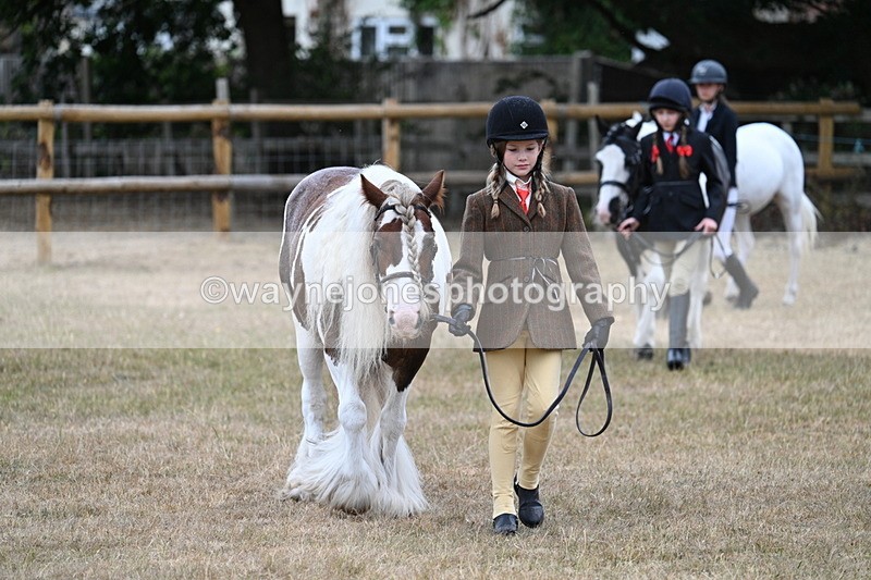 WJ7_8056 - Class 4 Prettiest Mare up to 14.2hh