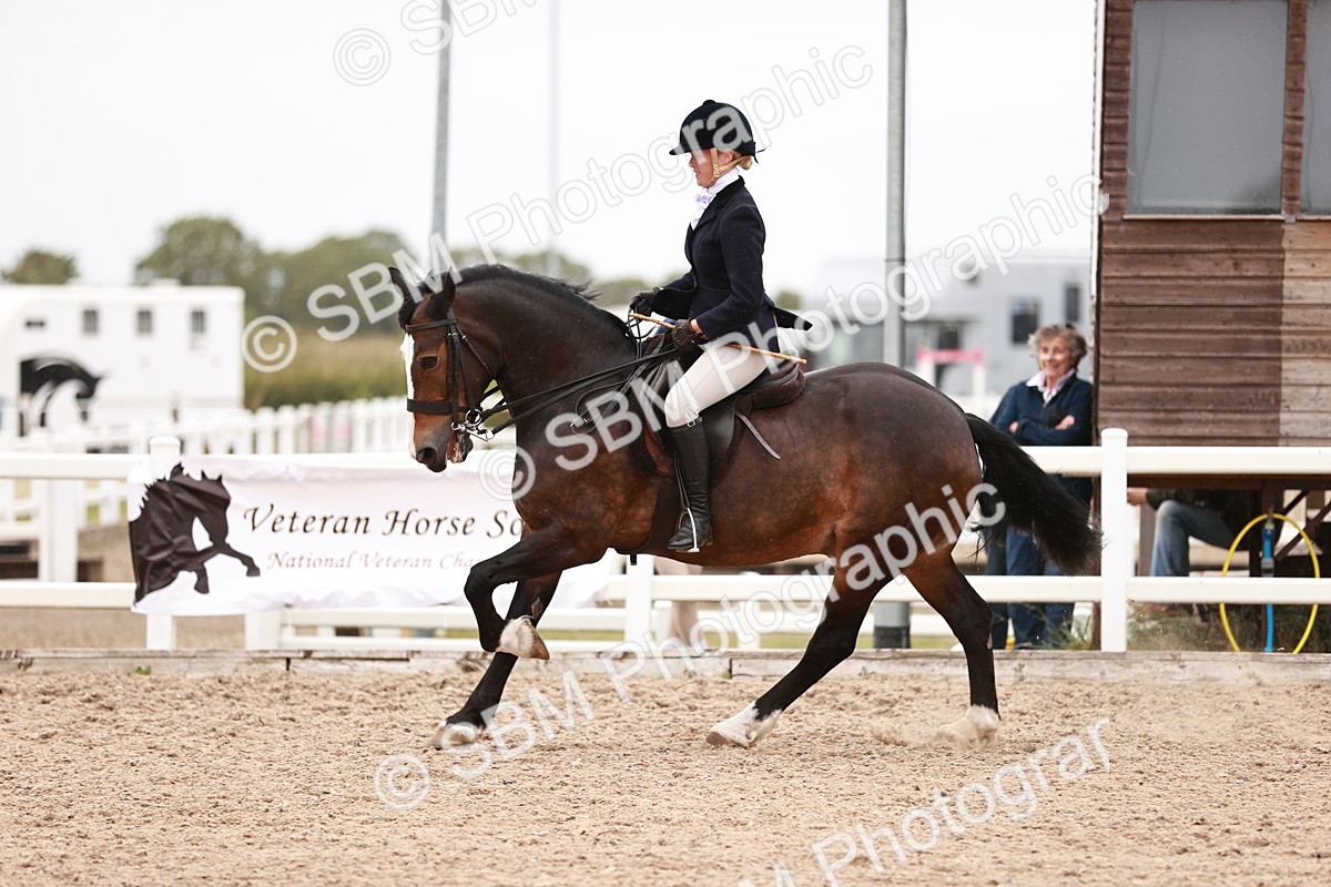 SBM_19031 - Class 422 - Ridden M&M