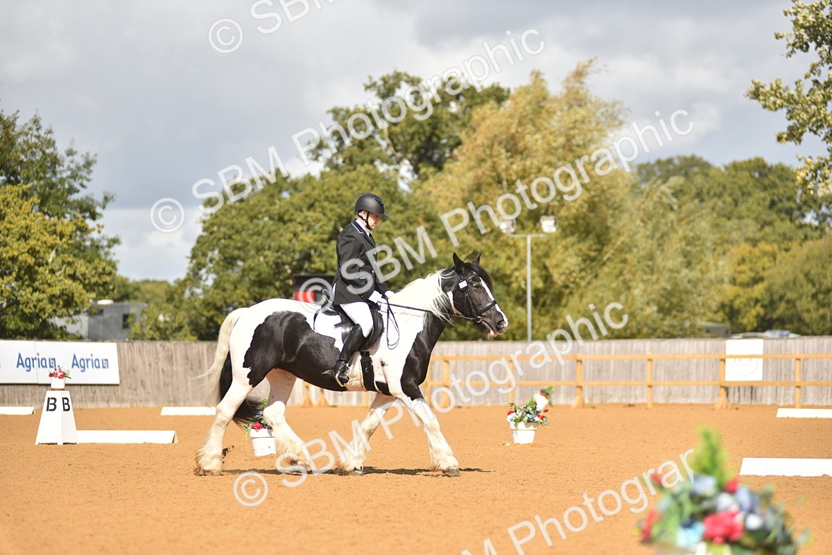 SBM_03130 - D4 - Small Tour Championship Intro 4
