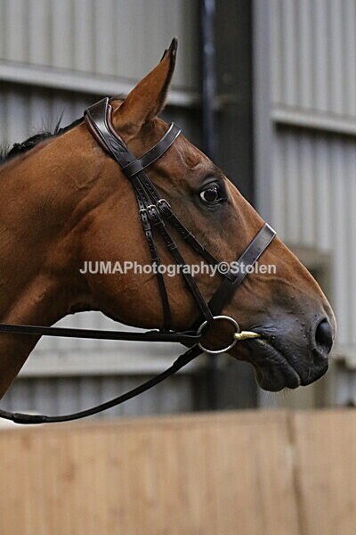 SIAL3235 - Sunday 14th Ridden
