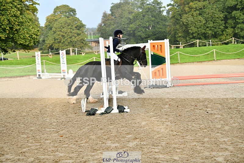 251004A-091033-00084 - Classes 1-2-3 40cm