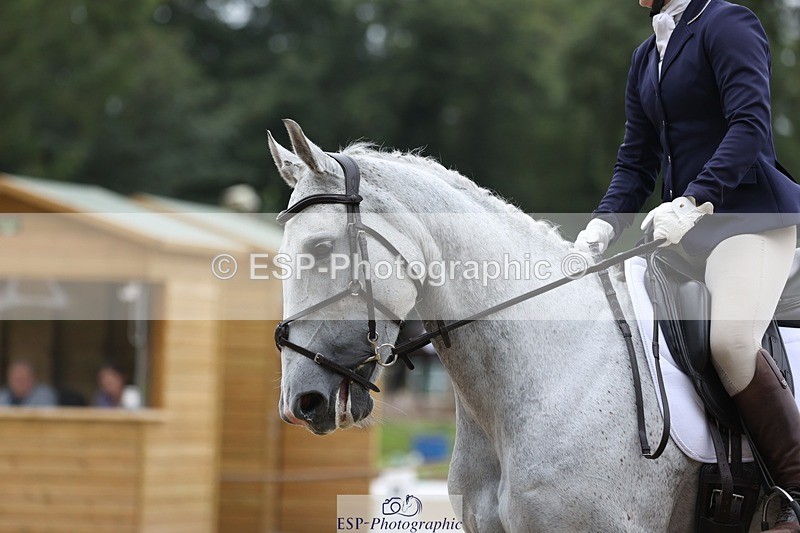 230812-093316-02959 - Cls 5 Novice Bronze Start to 10.55 break