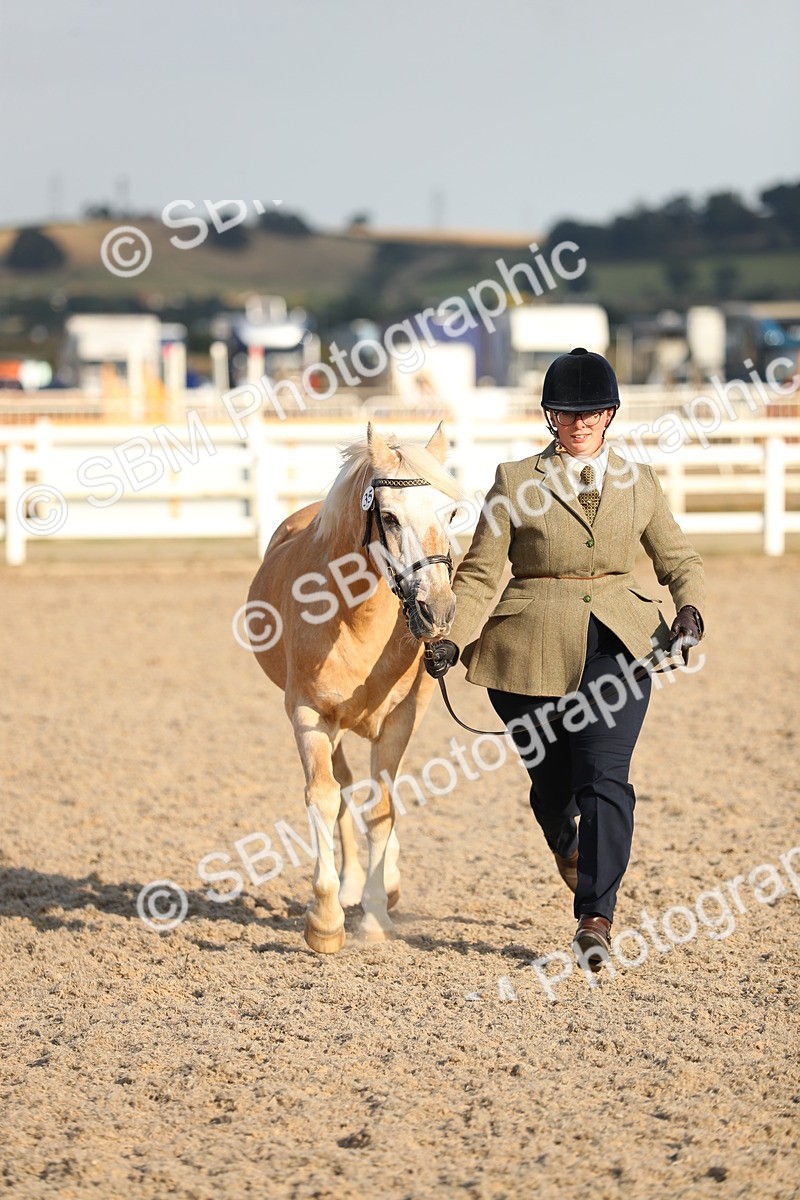 SBM_08957 - Class 29 IH Veteran Pony