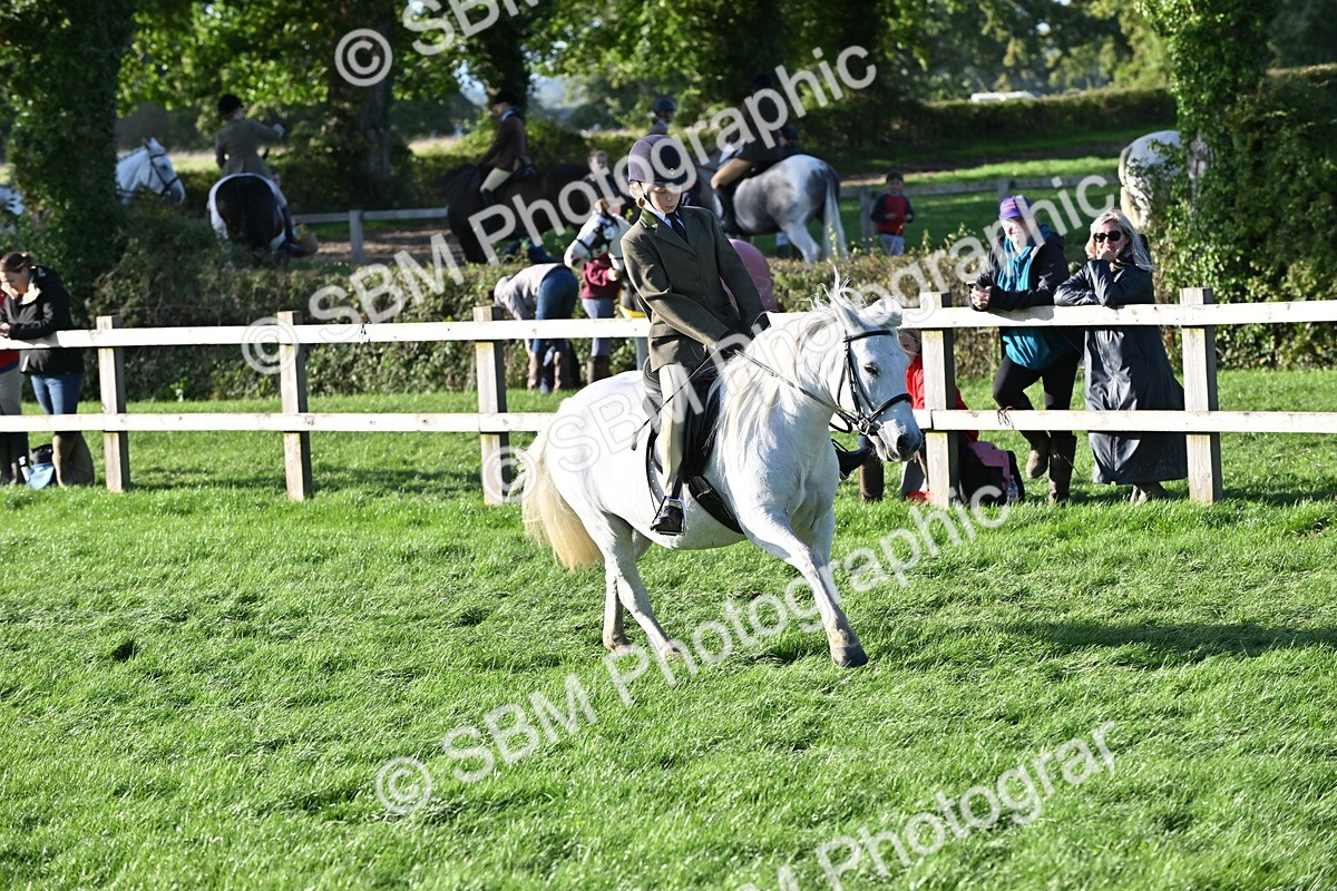 SBM_53064 - S23 - First Ridden Mountain & Moorland Pony