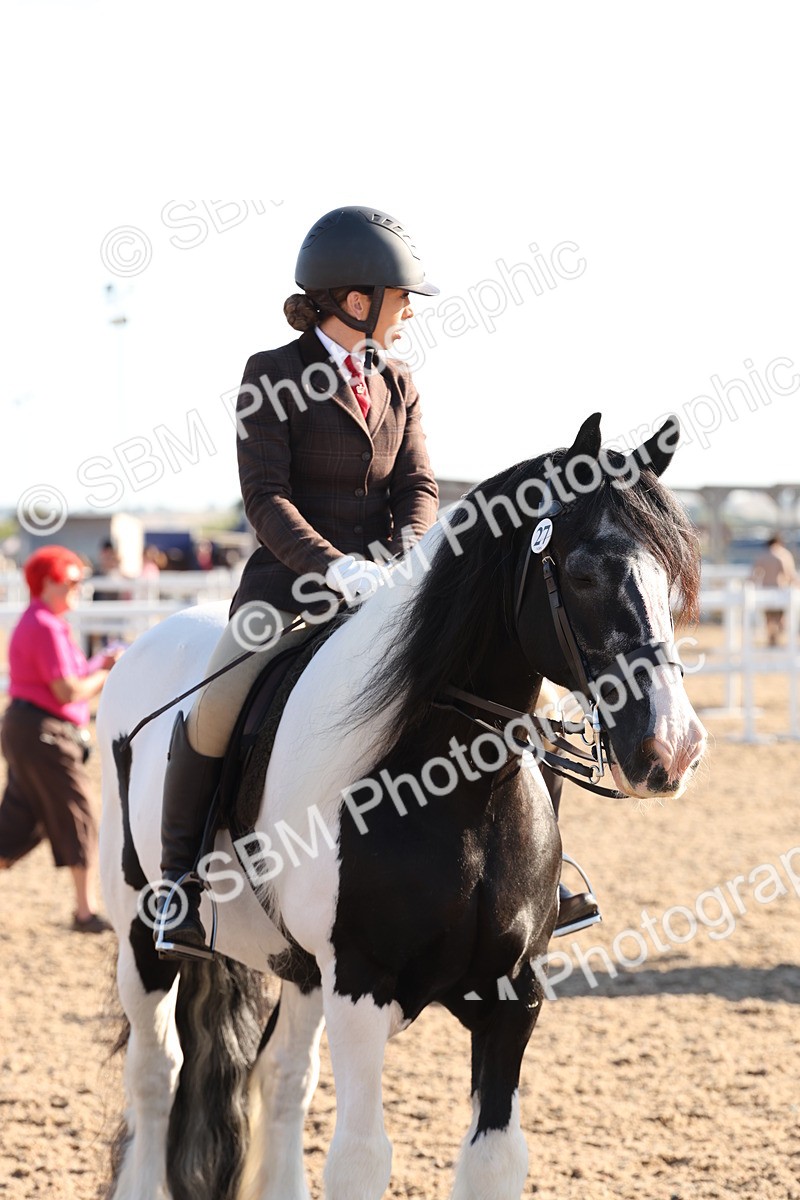 SBM_10870 - Class 202 - Best Turned Out - Ridden