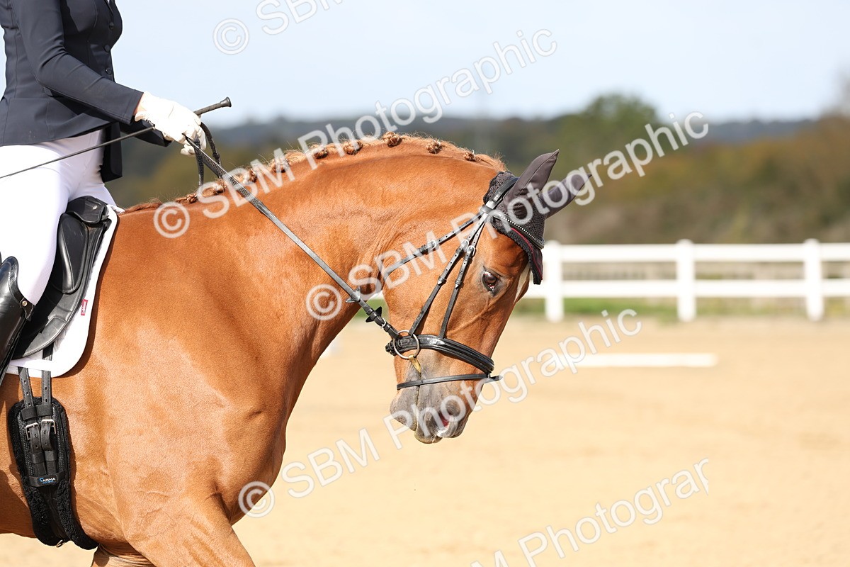 SBM_001320 - Class 3 - Novice 4