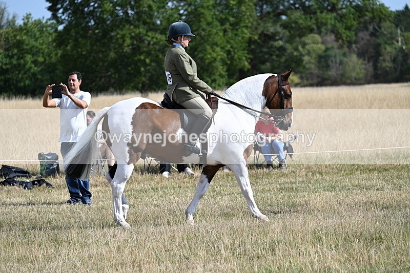 WJ7_2691 - Class 8 Ridden Tack & Turnout